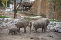 Elefantenpark «Himmapan» Knies Kinderzoo in Rapperswil