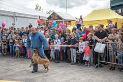 Klicken Sie hier, um das Album zu sehen: (14) Sonntag, 02.09.2018, Schweizer Grenzwachtkorps GWK - Sonderschau mit Schutz- und Drogenhunden