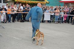 Klicken Sie hier, um das Album zu sehen: LIHGA (02) Täglich um 18 Uhr zeigt das Schweizer Grenzwachtkorps (GWK) die beliebte Hundeshow.