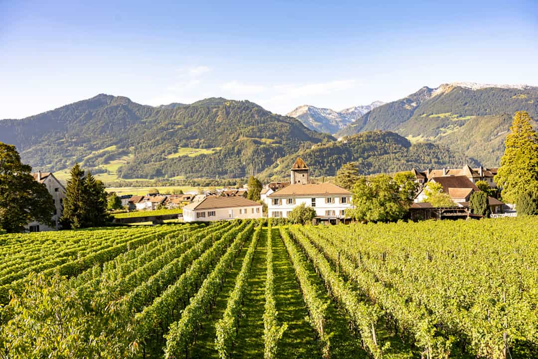 Zu verkaufen als Einheit: An sonniger Lage in Maienfeld 3.5, 2.5, 1.5 - Zimmerwohnung