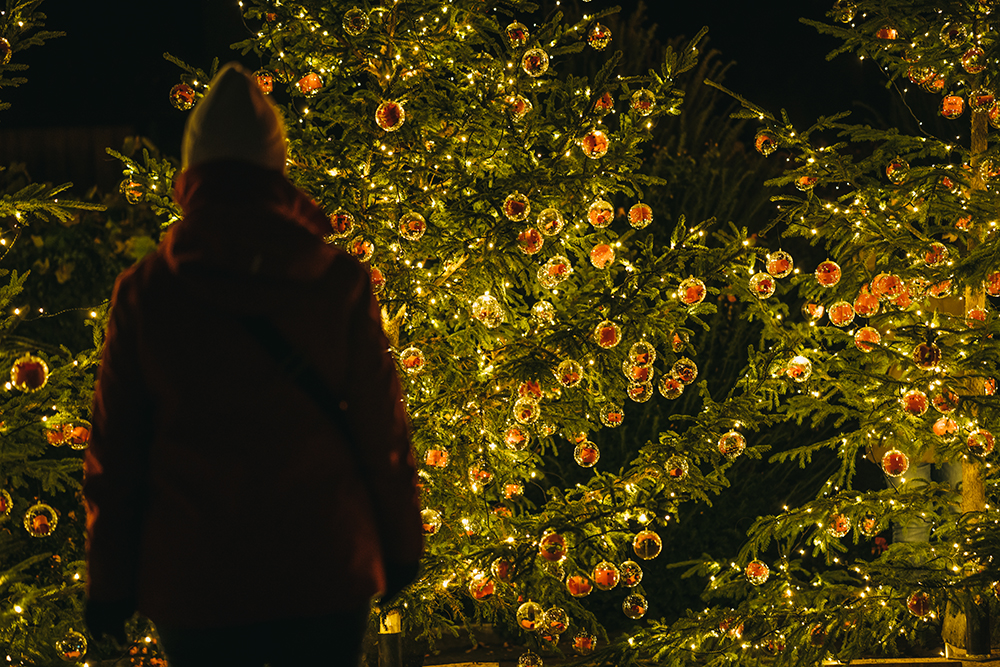 Die Wünsche der Ragazer Schulkinder schmücken die Tannenbäume auf dem Löwenplatz. Copyright: Nicholas Iliano