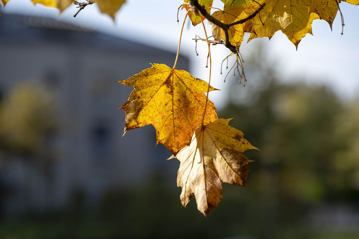 «Eine Gedankenpause» – Im Farbenkleid der Jahreszeit