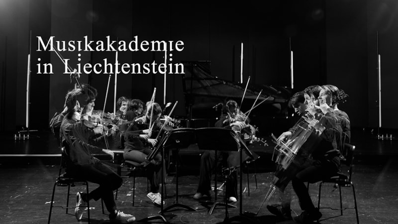 Kammermusikkonzert (Details folgen) - Streichtrio