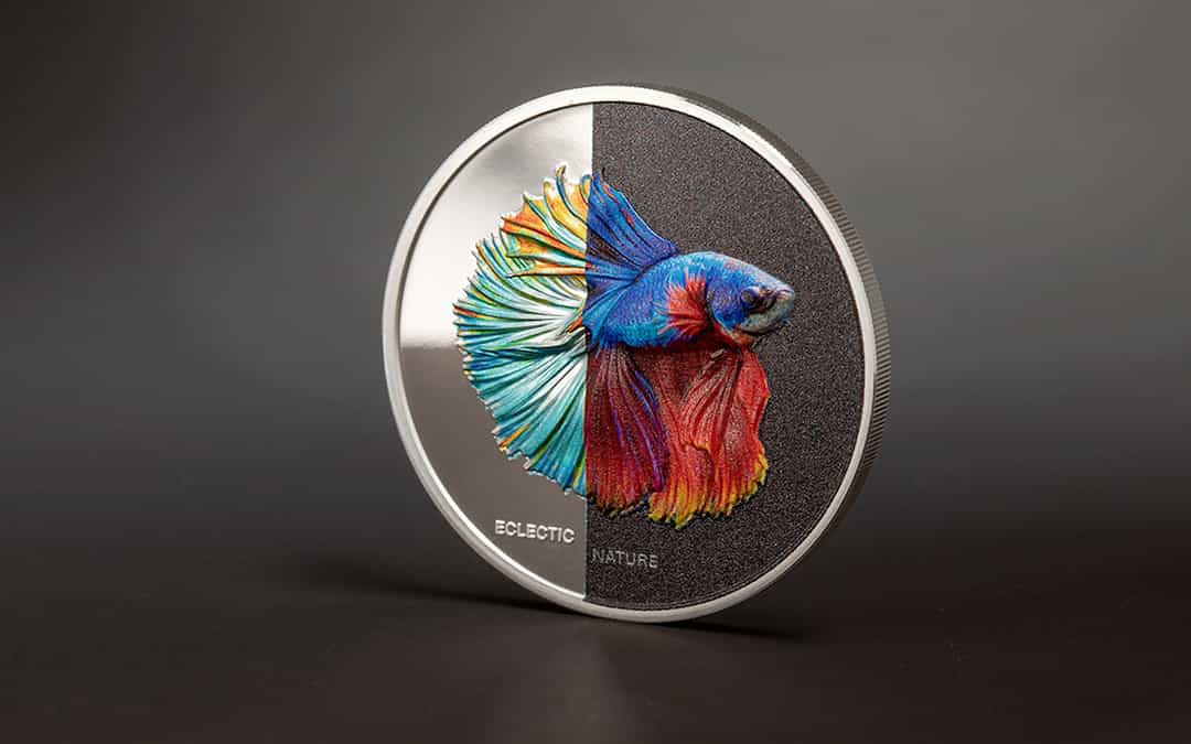 Eclectic Nature