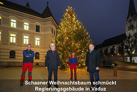 _Titel_Weihnachtsbaum