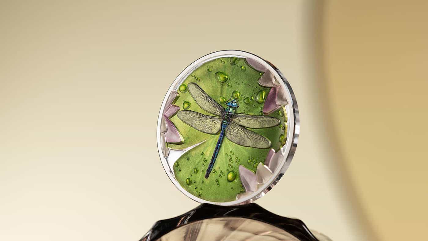 Dragonfly / © CIT