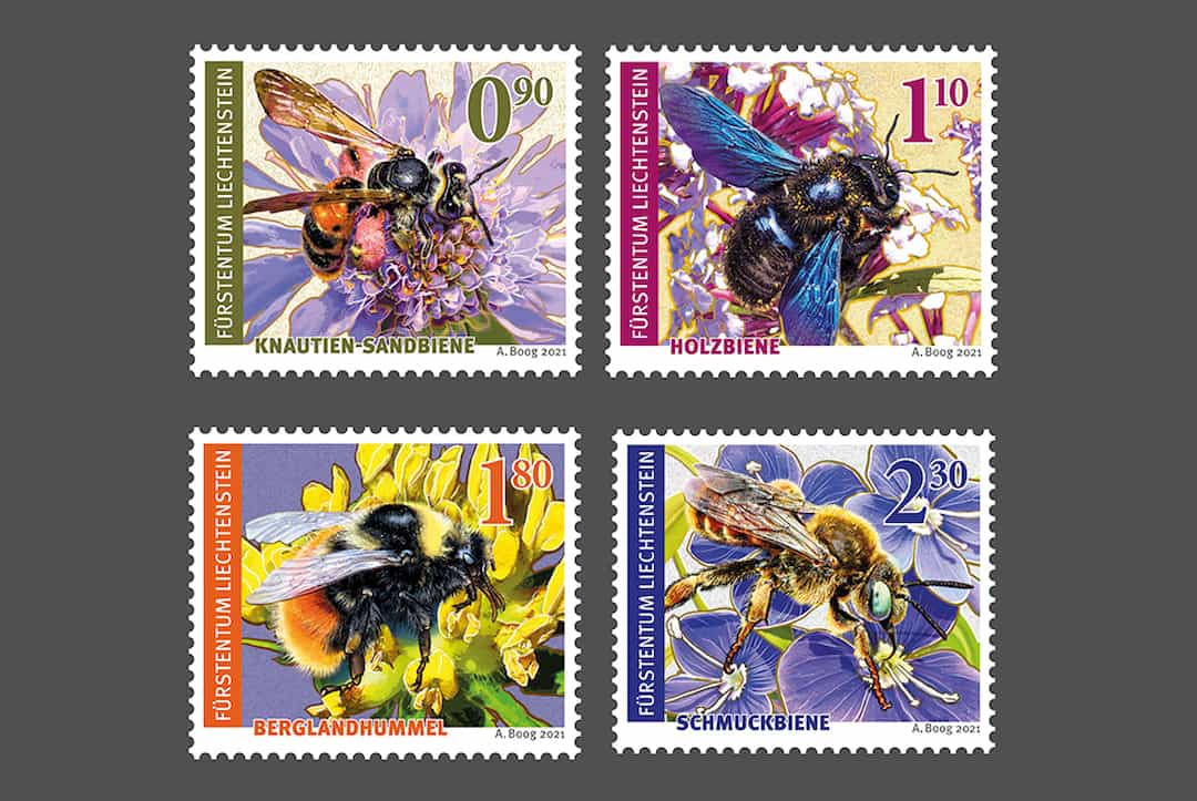 Wildbienen