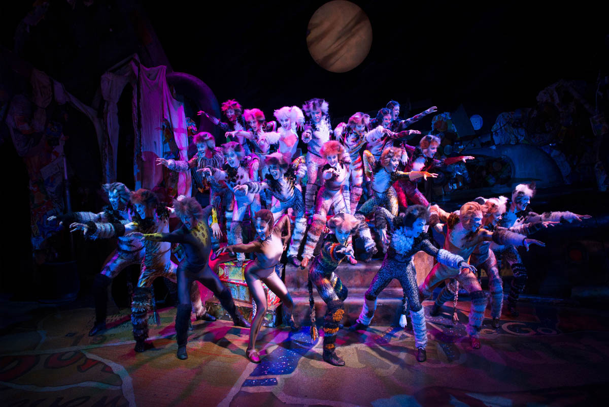 CATS © Alessandro Pinna