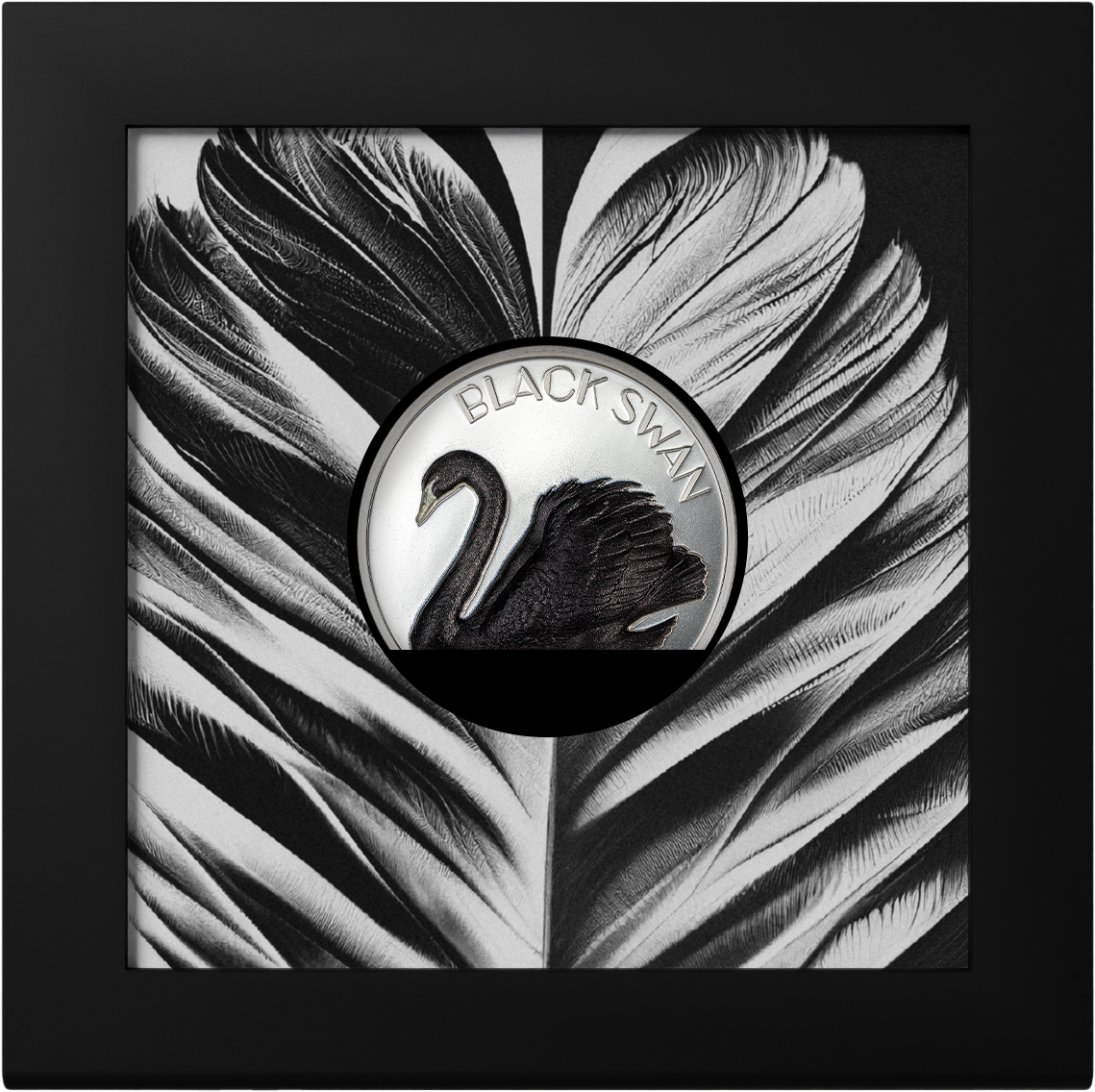 Black Swan – CIT Coin Invest AG