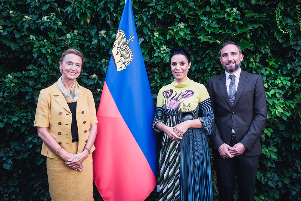 Aussenministerium startet in Strassburg Vorbereitungen zum Vorsitz im Europarat