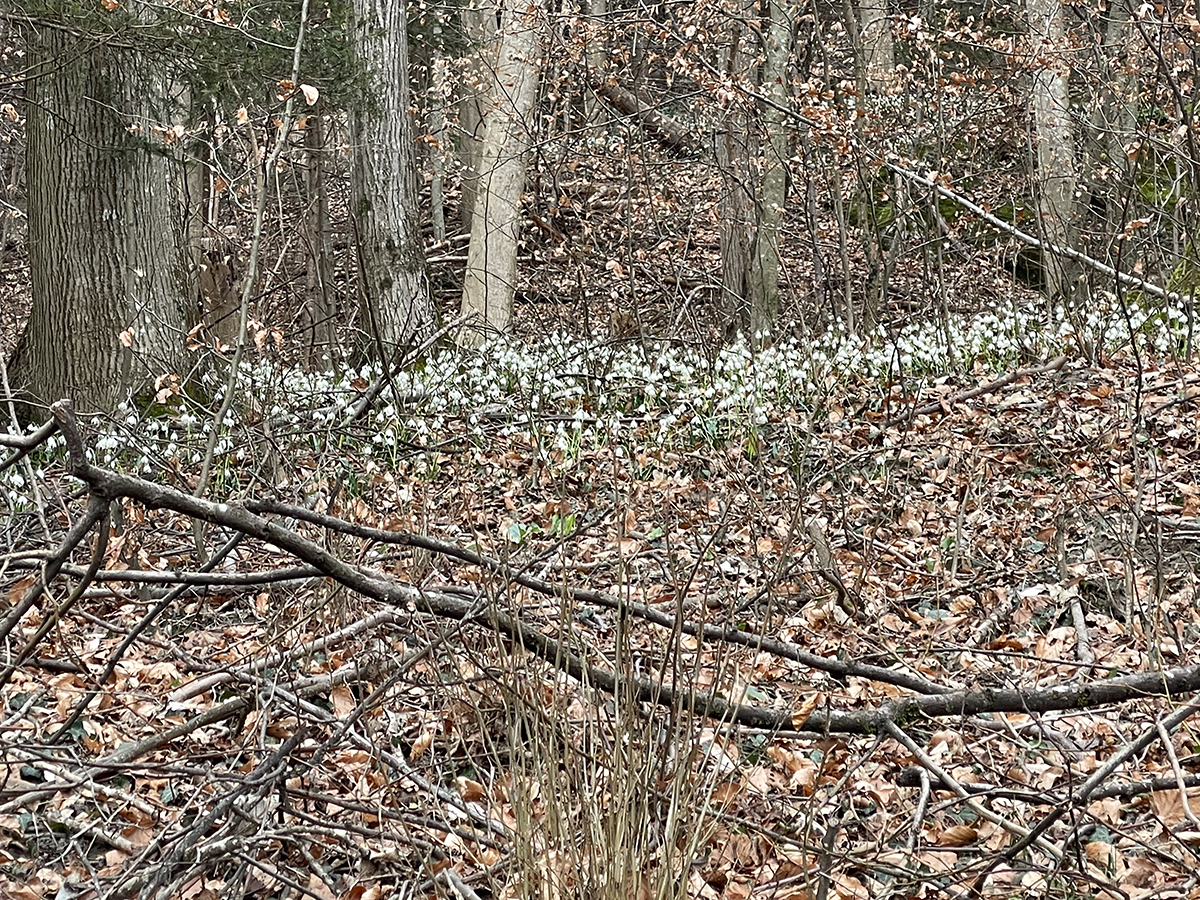  Vaduz, Sonntag, 11. Februar 2024 © exclusiv