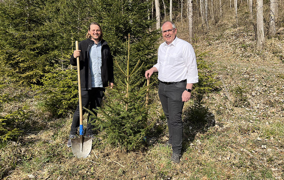 Die 60 «VADUZ ON ICE» Rottannen dürfen in ihr neues zuhause im Wald
