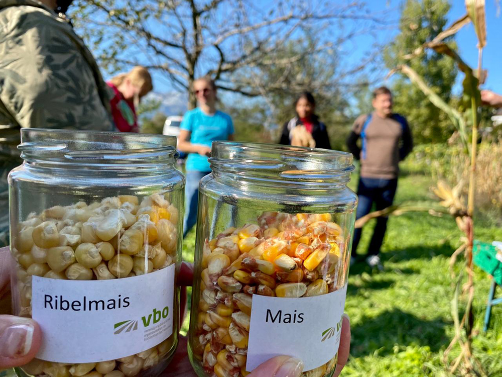 Vaduzer Ernährungsfeld Teil des Bodensee Gartenjahres