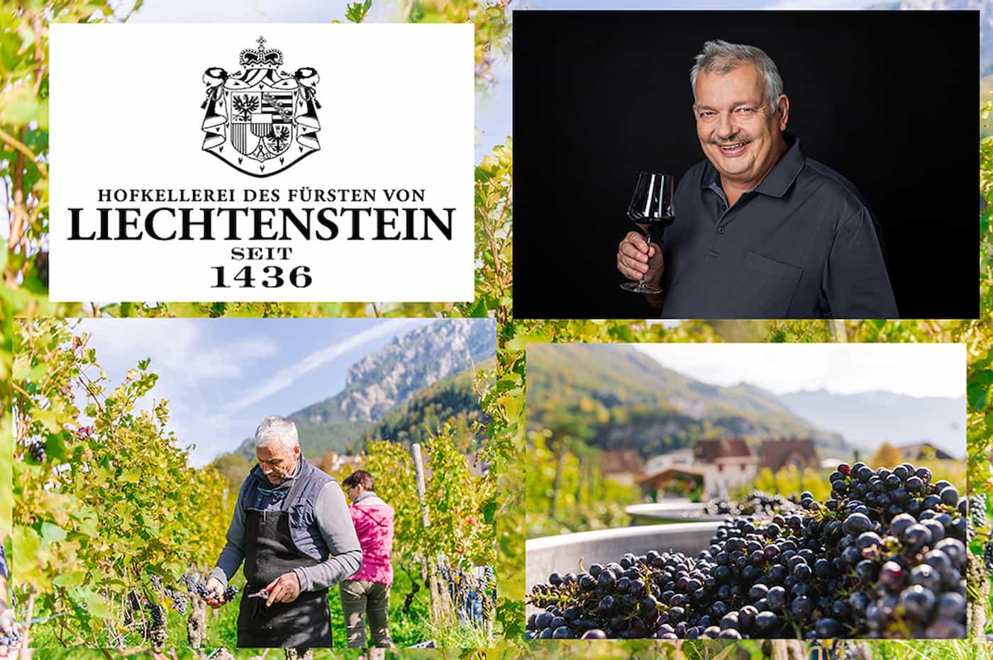 Höchste Bewertung für Wein aus Liechtenstein