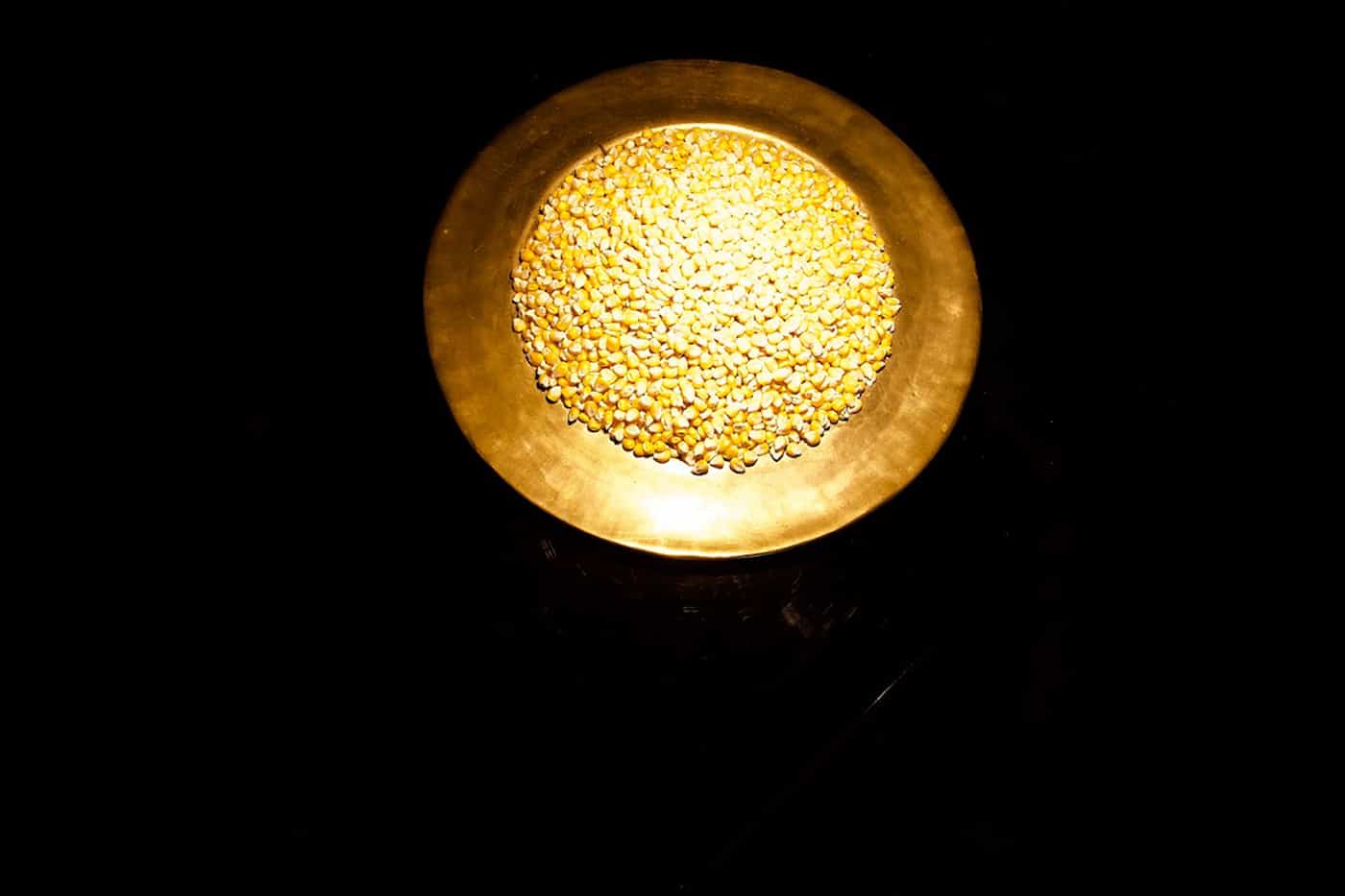 Foto: © Gertrud Kohli, «Ribel - Gold»