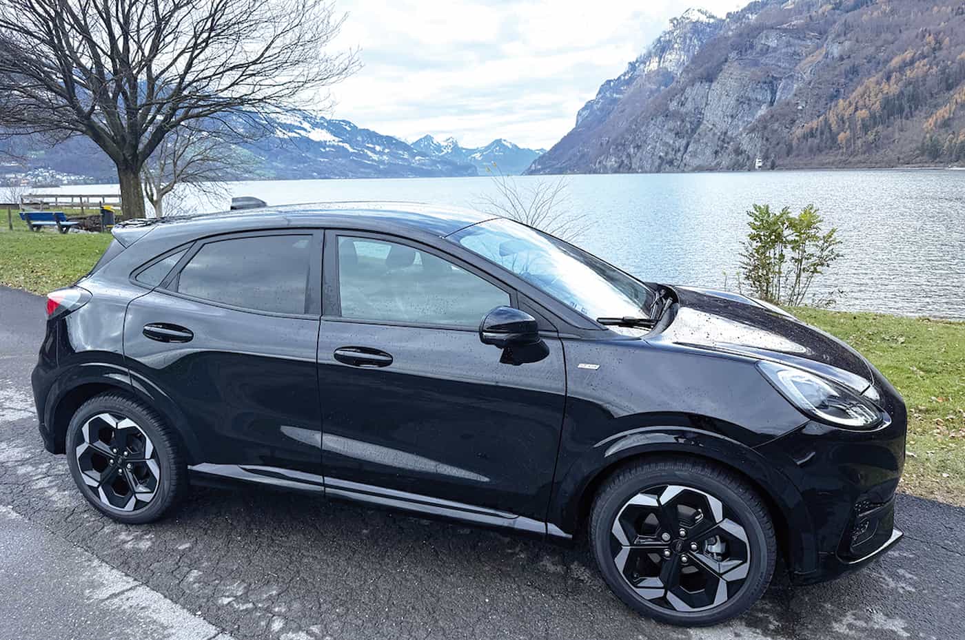 Der Ford Puma macht der Raubkatze alle Ehre