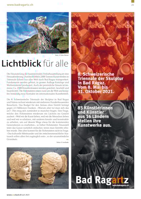 Innerhalb von zwölf Monaten 4,4 Millionen Besucher auf exclusiv.li | Seite 21