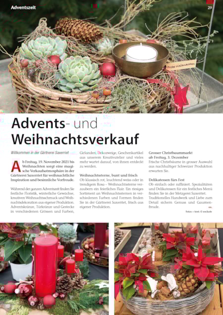 100 Jahre liechtensteinische Verfassung | Seite 28
