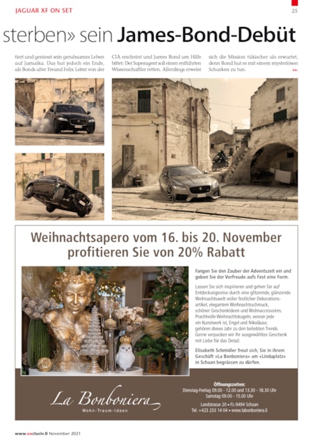 100 Jahre liechtensteinische Verfassung | Seite 25